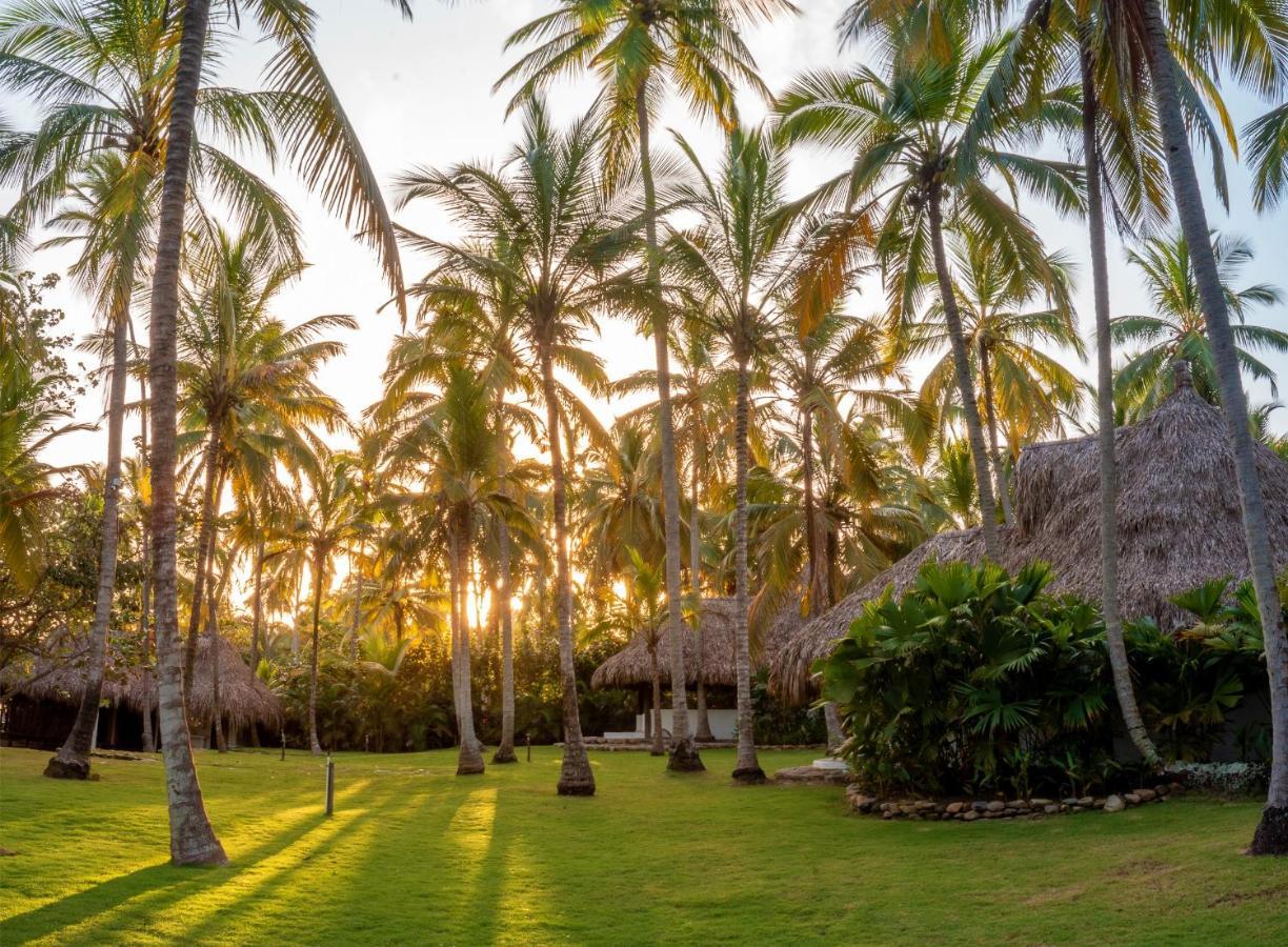 Hotel Casalina Palomino Bagian luar foto